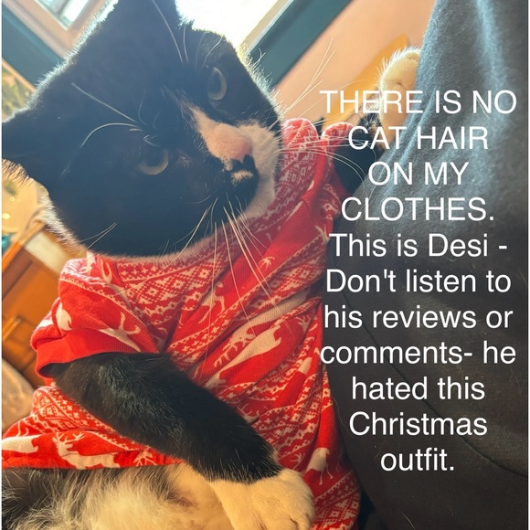 Meet your Posher, Shane - Picture 1 of 2